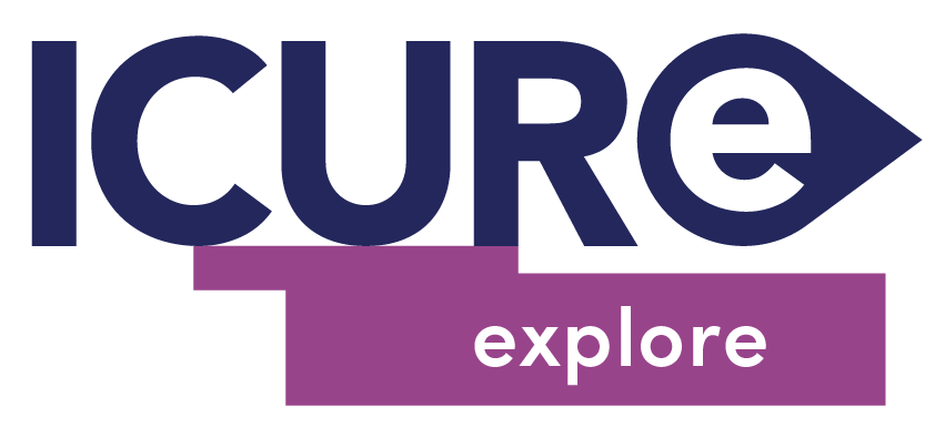explore_navy